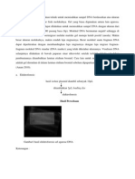 Elektroforesis DNA Merupakan Teknik Untuk Memisahkan Sampel DNA Berdasarkan Atas Ukuran