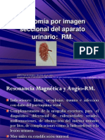 7.4 Anatomía Por Imagen Seccional Del Aparato Urinario RM