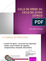 Ciclodekrebsouciclodocidoctrico 110804212730 Phpapp01