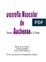 Distrofia Muscular de Duchenne