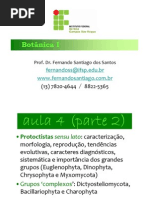 Algas Douradas Crysophytas