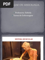 Trabalho de Histologia Liso e Cardiaco