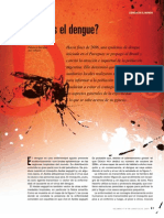 Información Acerca Del Dengue