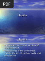 Download Uveitis Ppt by franceseyemd SN14166886 doc pdf