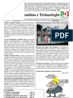 Giornale PD Piombino Trebaseleghe 2008 N.2
