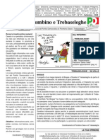 Giornale PD Piombino Trebaseleghe 2008 N.1