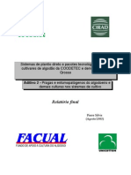 Relatório Final-Facual-Ento-2003