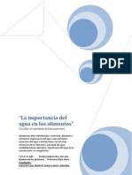 Hipertexto La Importancia Del Agua en Los Alimentos