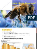 Exposé Abeilles