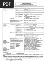 FUNÇÕES SINTÁCTICAS (Quadro-Síntese).docx