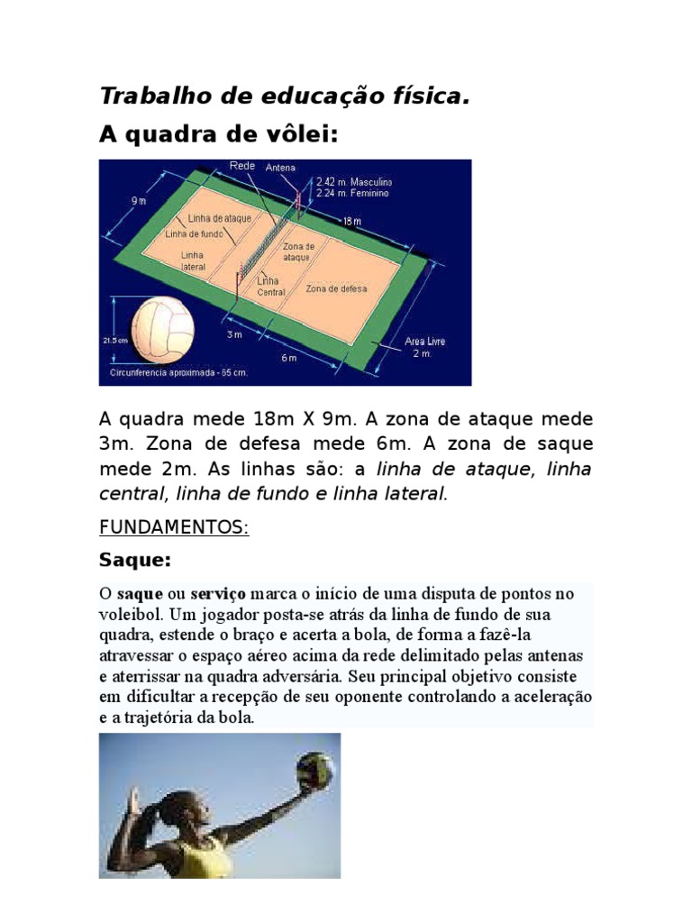 Cad Ensino Medio Educacao Fisica, PDF, Voleibol