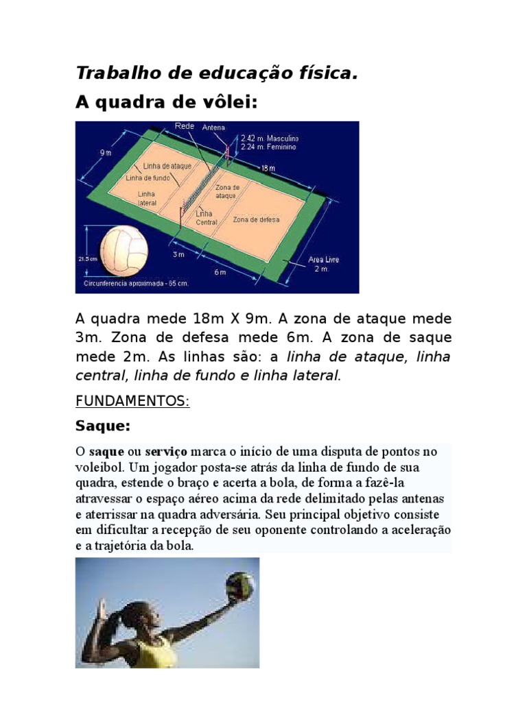 Regras e Fundamentos do Voleibol - Teoria e Metodologia do Voleibol