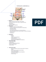 Topografia Abdominala