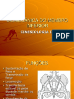 Biomecã - Nica - Do - Membro - Inferior Cinesio Ii