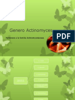 Genero Actinomyces