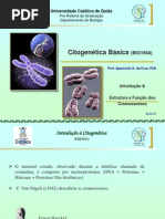 Citogenética básica 01 - Introdução à Citogenética