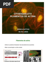Biotec Sem - Citoesqueleto Actina