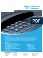 BudgeTonebrochure PDF