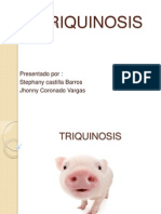 17 Triquinosis