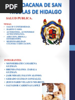 Salud Publica