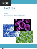 LA CELULA