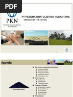 Download PKN Company Profile by Intan Dewi Probowati SN141805391 doc pdf