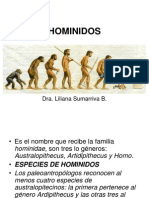 Hominidos