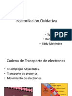 Fosforilación oxidativa