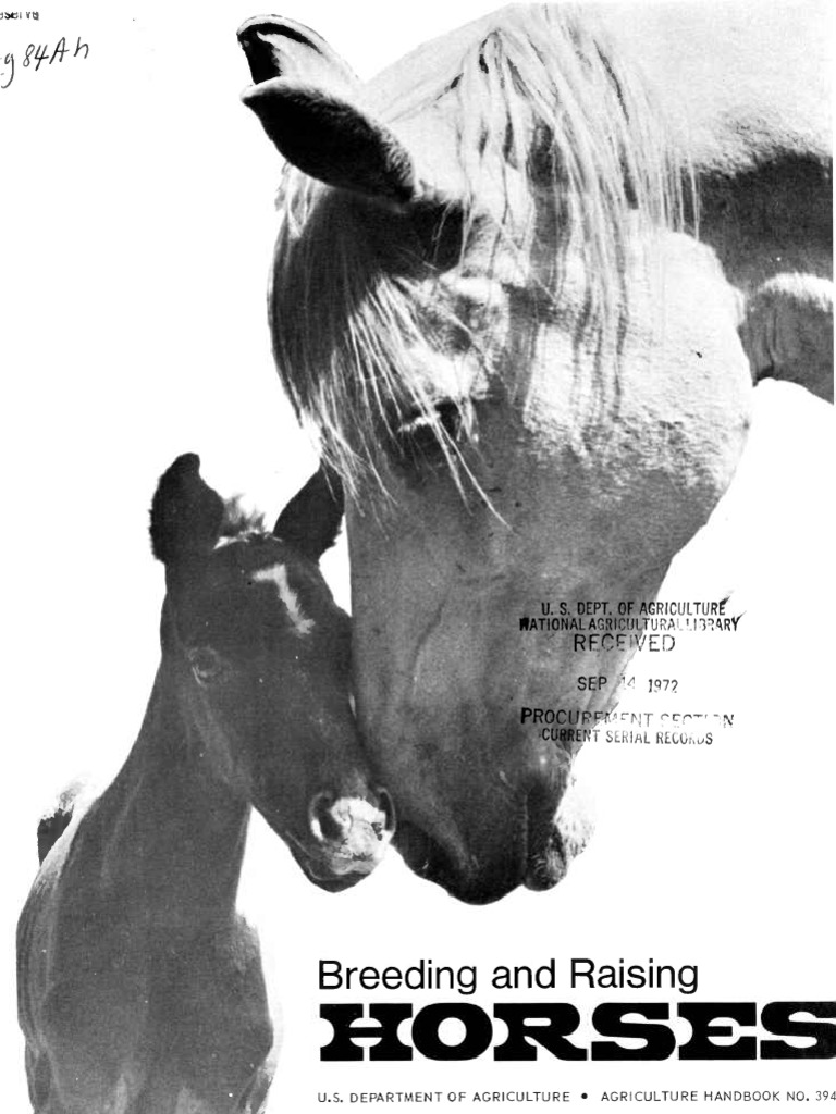 Breeding and Raising Horses PDF Horse Gait Horses