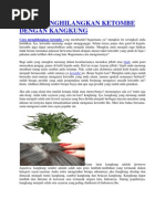 Download Cara Menghilangkan Ketombe Dengan Kangkung by Widodari Hapsari SN141816950 doc pdf