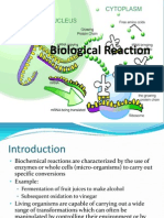 2.0 - Biological Reaction