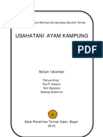 Buku Panduan Budidaya Ayam Kampung