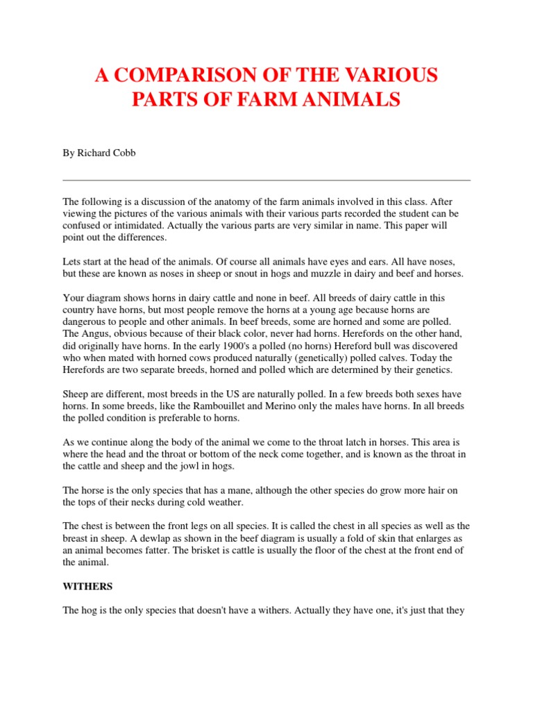 Anatomy of Farm Animals Explained | PDF | Cattle | Dairy