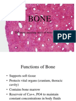 Bone