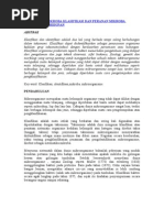 Download Klasifikasi Mikroba Klasifikasi Dan Peranan Mikroba Dalam by Wida Salupi SN141875999 doc pdf