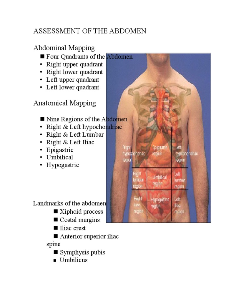 Abdominal Assessment Techniques Guide | PDF | Abdomen | Anatomy
