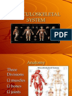 Musculoskeletal System