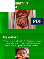 The Digestive System-nutrition