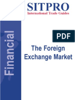 The Foreign Exchange Market: International Trade Guides