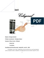 Proiect - Colagen