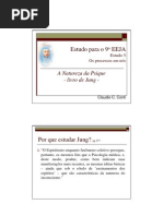 Por Que Estudar Jung
