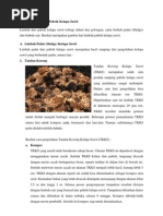 Download Pengolahan Limbah Pabrik Kelapa Sawit by Rahman Sonowijoyo SN141934090 doc pdf