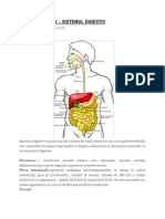 Sistemul Digestiv