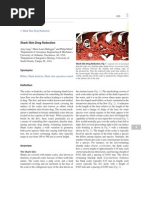 Download Shark Skin Drag Reductionpdf by 917435001 SN141949982 doc pdf