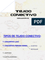 Tejido Conectivo