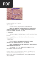 Download Histologi Jantung by Ririien Pinklovers SN141954980 doc pdf