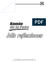 Mis Reflexiones