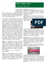 11.la Sindrome Del Tunnel Carpale (STC) PDF