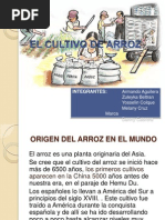 Cultivo Hidroponico Tesis