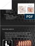 Tratamiento CA de Prostata